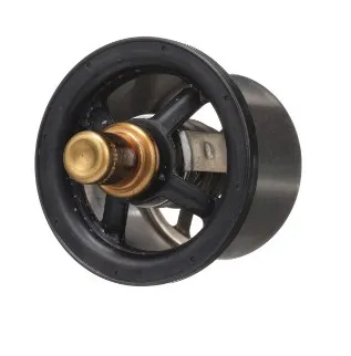 504096443 - Термостат ДВС Cursor8K/9 T8./Mg., CS, CSX, CX6/8, Axion9